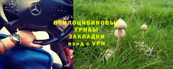 спиды Абаза