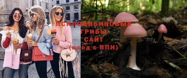 ПСИЛОЦИБИНОВЫЕ ГРИБЫ Абинск