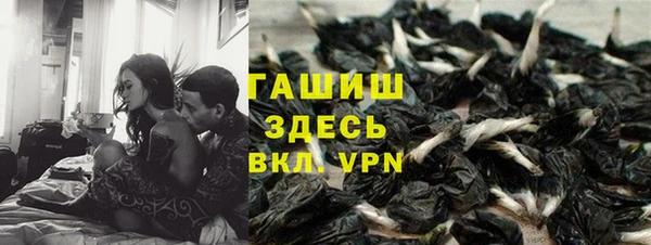 спиды Абаза