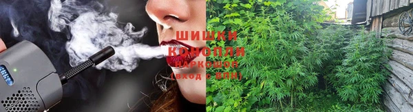спиды Абаза