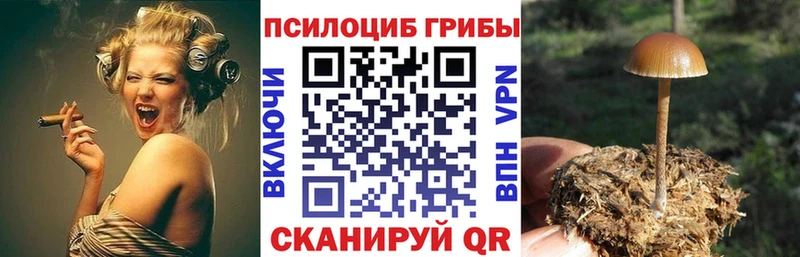 Галлюциногенные грибы ЛСД shop Telegram Саранск