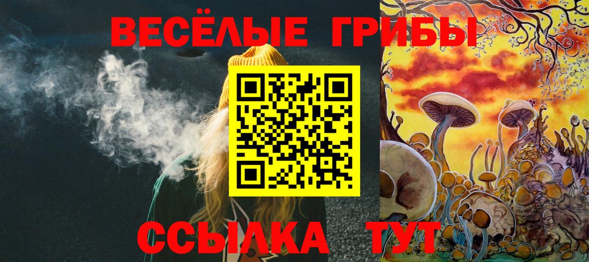 Галлюциногенные грибы Magic Shrooms Саранск