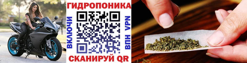 закладки  Саранск  OMG зеркало  Марихуана Ganja 
